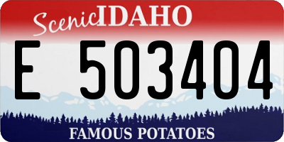 ID license plate E503404