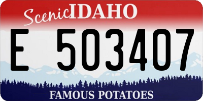 ID license plate E503407