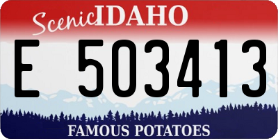 ID license plate E503413