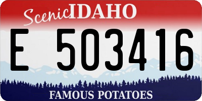 ID license plate E503416
