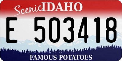 ID license plate E503418