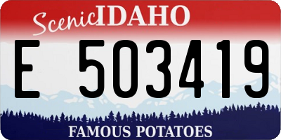ID license plate E503419