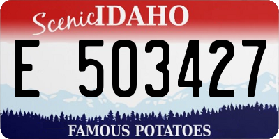 ID license plate E503427