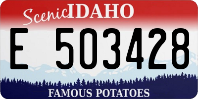 ID license plate E503428