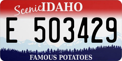 ID license plate E503429