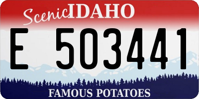 ID license plate E503441