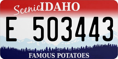 ID license plate E503443