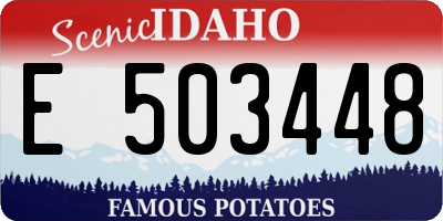 ID license plate E503448