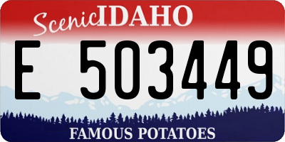 ID license plate E503449