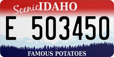 ID license plate E503450