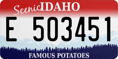 ID license plate E503451