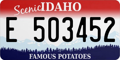 ID license plate E503452