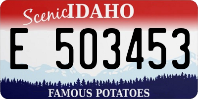 ID license plate E503453