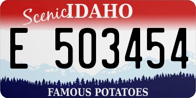 ID license plate E503454