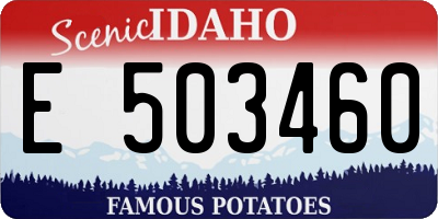 ID license plate E503460