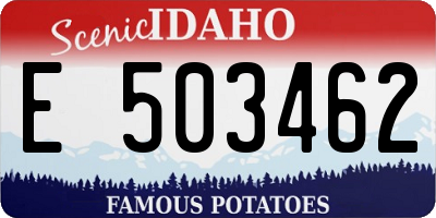 ID license plate E503462