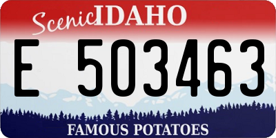 ID license plate E503463