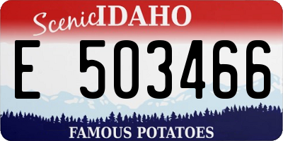 ID license plate E503466