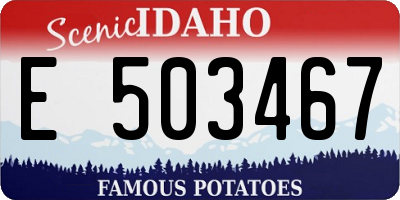 ID license plate E503467