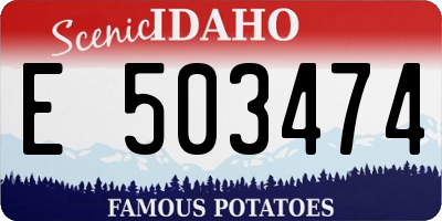 ID license plate E503474