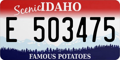 ID license plate E503475