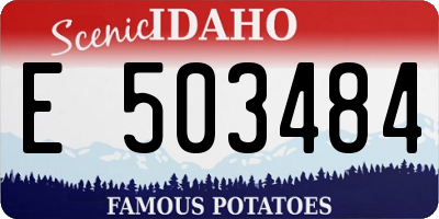 ID license plate E503484