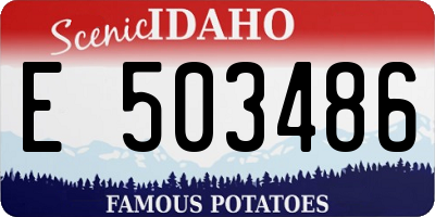 ID license plate E503486