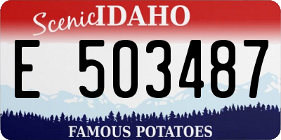 ID license plate E503487
