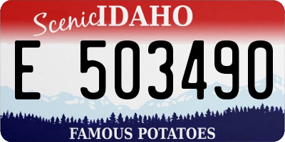 ID license plate E503490