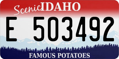ID license plate E503492