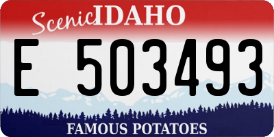 ID license plate E503493