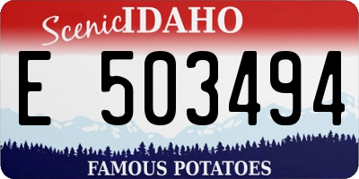 ID license plate E503494