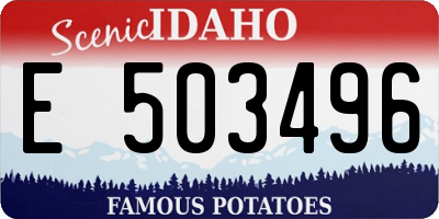 ID license plate E503496