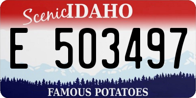 ID license plate E503497