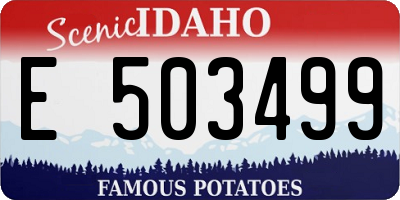ID license plate E503499