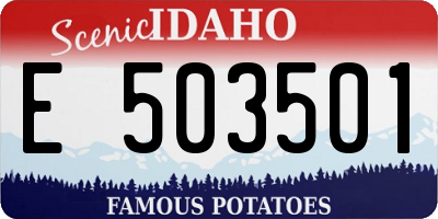 ID license plate E503501