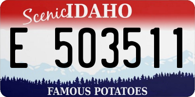 ID license plate E503511