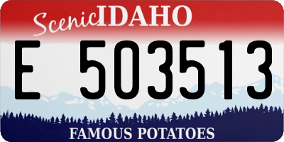 ID license plate E503513