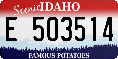 ID license plate E503514