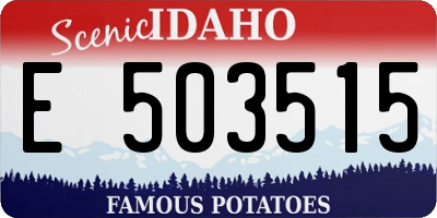 ID license plate E503515