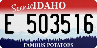 ID license plate E503516