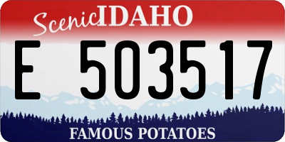 ID license plate E503517
