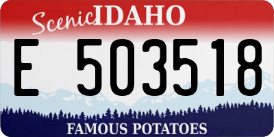 ID license plate E503518