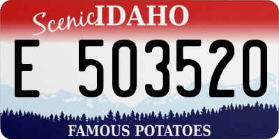 ID license plate E503520