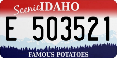 ID license plate E503521