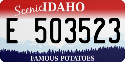 ID license plate E503523