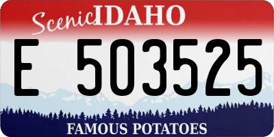 ID license plate E503525