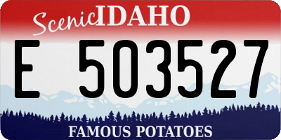 ID license plate E503527