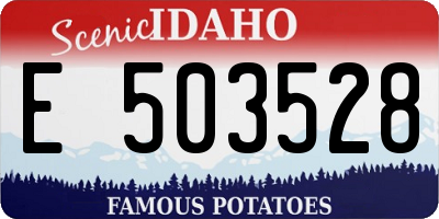ID license plate E503528