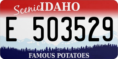 ID license plate E503529
